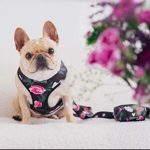 Frenchie Reversible Floral Dog Harness - Black and Pink